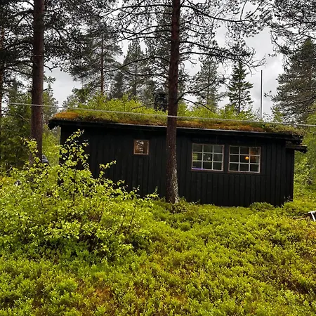 Hytta Pa Med Badestamp Сasa de vacaciones Oyfjell