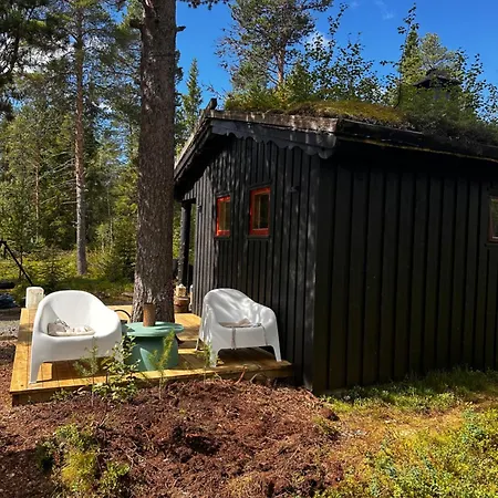 Dom wakacyjny Hytta Pa Med Badestamp Oyfjell