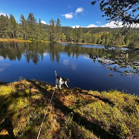 Hytta Pa Med Badestamp Oyfjell