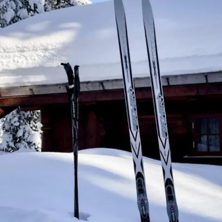 Hytta Pa Med Badestamp Oyfjell