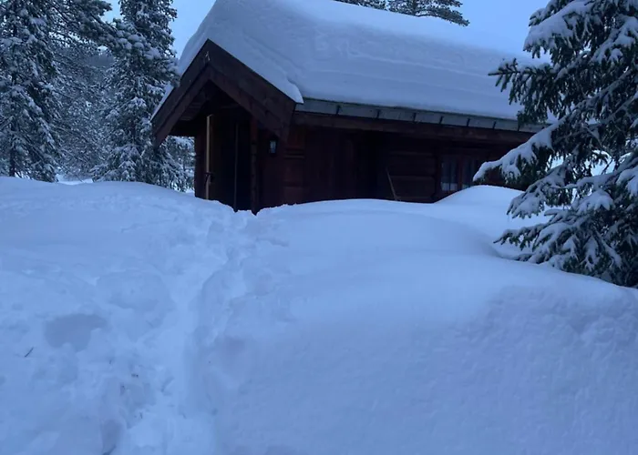 Hytta Pa Oyfjell