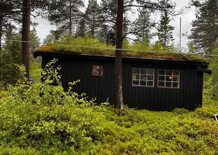 Hytta Pa Hébergement de vacances Oyfjell